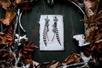 Image 1 of Bone and Feather