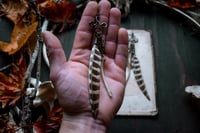 Image 5 of Bone and Feather