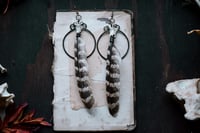 Image 3 of Feather Hoop earrings