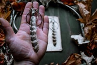 Image 4 of Feather Hoop earrings
