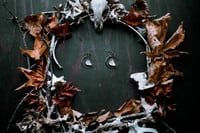 Image 3 of Bone Disks