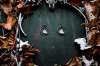 Image 2 of Bone Disks