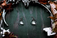 Image 1 of Bone Disks