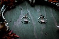 Image 4 of Bone Disks