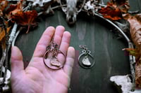 Image 5 of Bone Disks