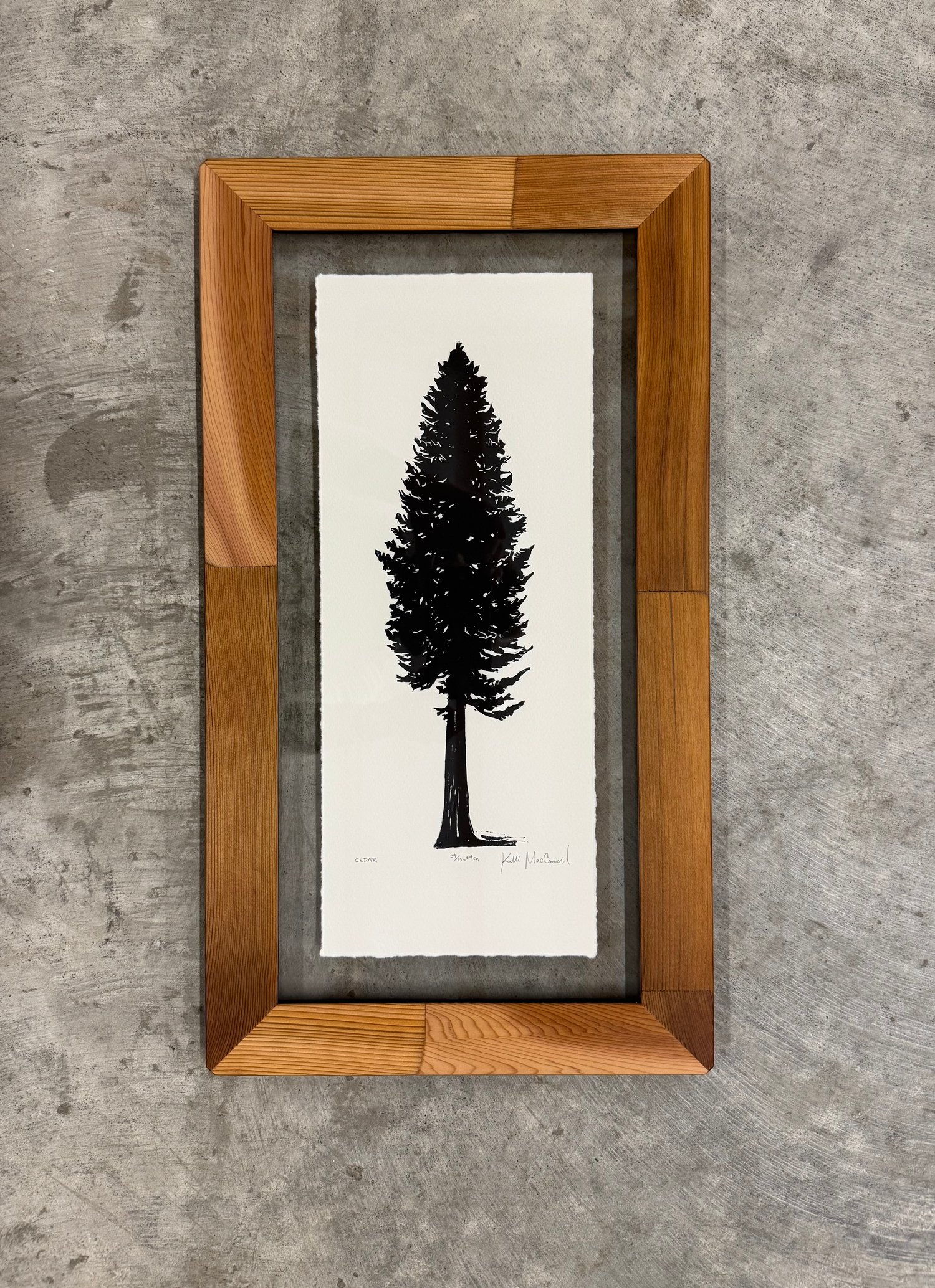Cedar