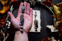 Image 5 of Feather and Charm