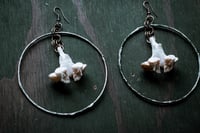 Image 4 of Vertebra hoop earrings