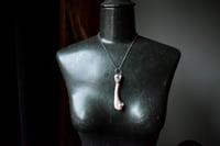 Image 4 of Silver Capped Raccoon Leg Bone necklace