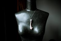Image 5 of Silver Capped Raccoon Leg Bone necklace