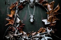 Image 2 of Silver Adorned Skunk Skull necklace