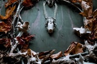Image 4 of Silver Adorned Skunk Skull necklace