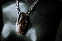 Image 7 of Silver Adorned Skunk Skull necklace