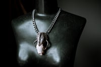 Image 8 of Silver Adorned Skunk Skull necklace
