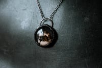 Image 1 of Wasp resin cab necklace