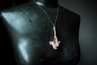 Image 1 of Silver Banded Vertebra necklace