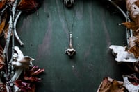 Image 3 of Silver Capped Vertebra necklace