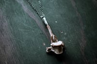 Image 1 of Silver Capped Vertebra necklace