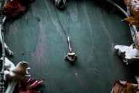 Image 4 of Silver Capped Vertebra necklace