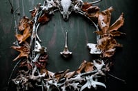 Image 2 of Silver Banded Deer Vertebra necklace