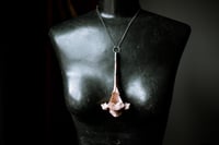 Image 4 of Silver Banded Deer Vertebra necklace
