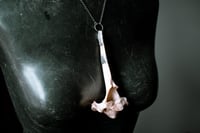 Image 5 of Silver Banded Deer Vertebra necklace