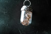Image 1 of Wasp and Lichen necklace