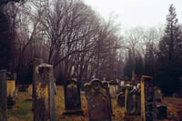 [LAST PHOTO] Eternal Dust