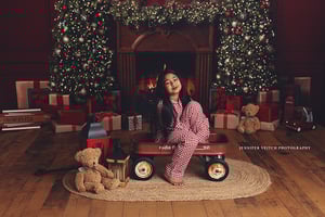 Image of November Christmas Minis November 1