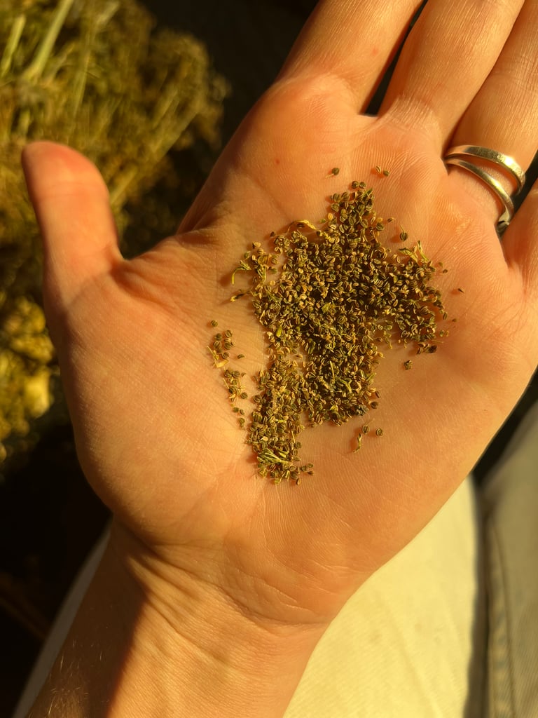 Organic Celery Image 3