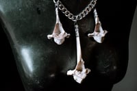 Image 5 of Wild Hunt Charivari