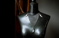 Image 2 of Crystal Coyote and Chainmail