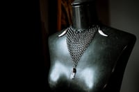 Image 1 of Crystal Coyote and Chainmail