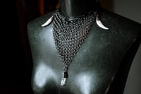 Image 3 of Crystal Coyote and Chainmail