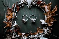 Image 1 of Aluminum Bone Hoops (medium)