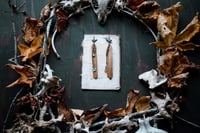 Image 2 of Fringe and Stone earrings