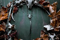 Image 2 of Turtle Jaw