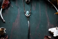 Image 3 of Turtle Jaw