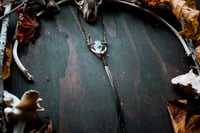 Image 1 of Turtle Jaw