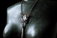 Image 7 of Turtle Jaw