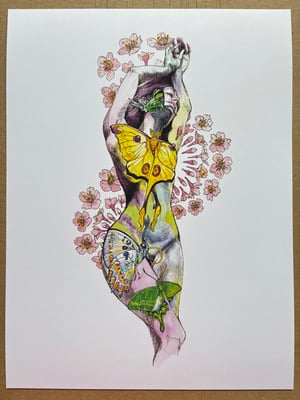 Image of Bella Butterfly Laserprint 9”x12”