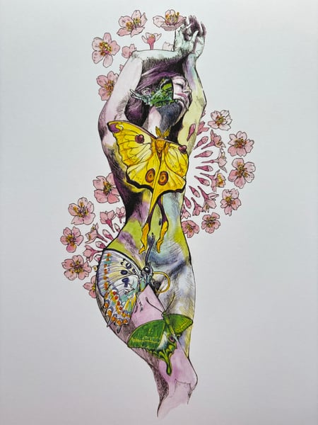 Image of Bella Butterfly Laserprint 9”x12”