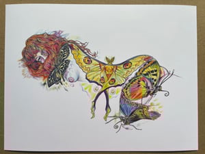Image of Anora Moth Laserprint 9”x12”