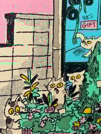 Image 2 of Kato Florals / 加藤生花店