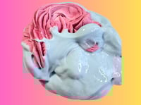 Image 3 of DIY Clay Kit Peony 404