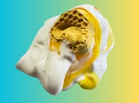 Image 4 of DIY Clay Kit Milk & Honey Oats