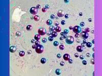 Image 2 of Mermaid Eggs