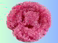 Image 2 of Neon Pink Crunch