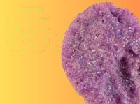 Image 3 of Neon Purple Crunch