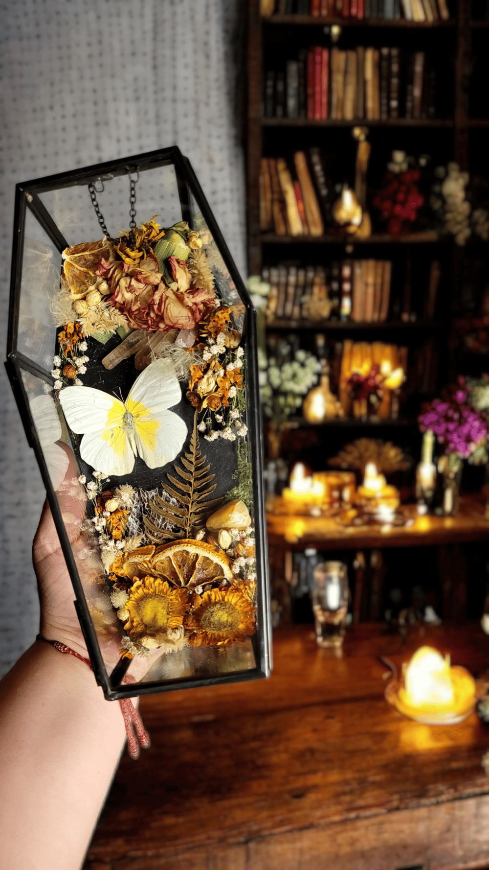Image of Coffin terrarium in orange